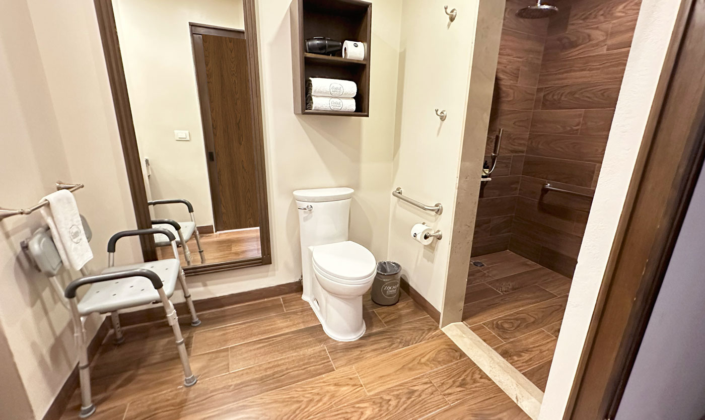 Handicap-Baño-2.jpg