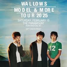 Wallows