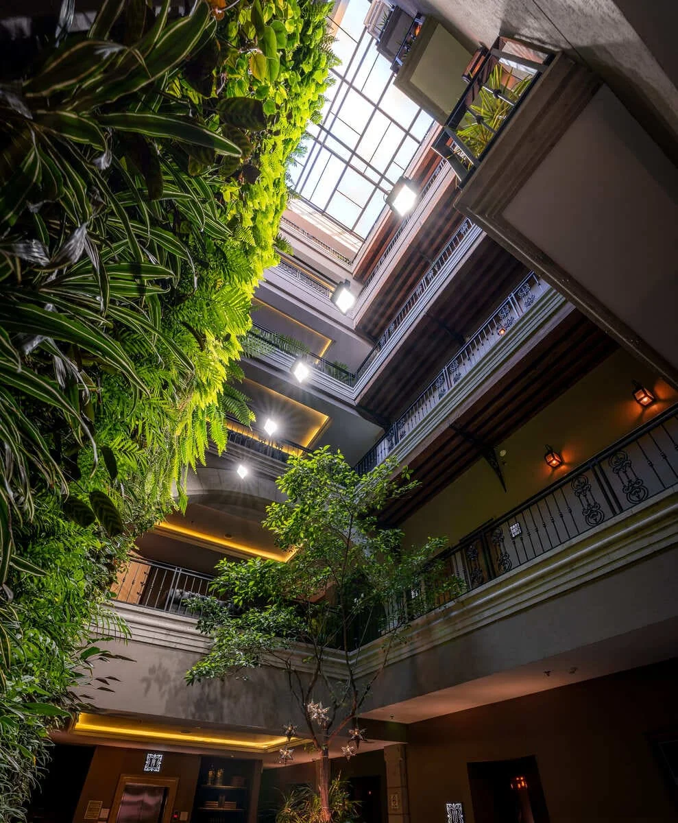 Pasillo Café Central 1D