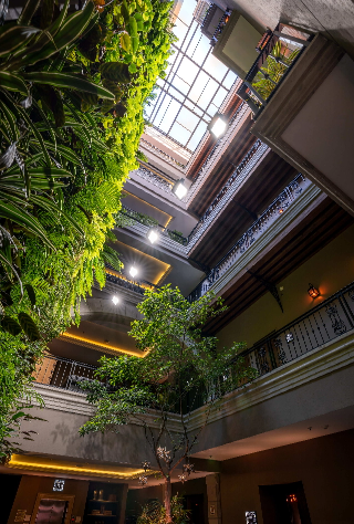 Pasillo Café Central 1A