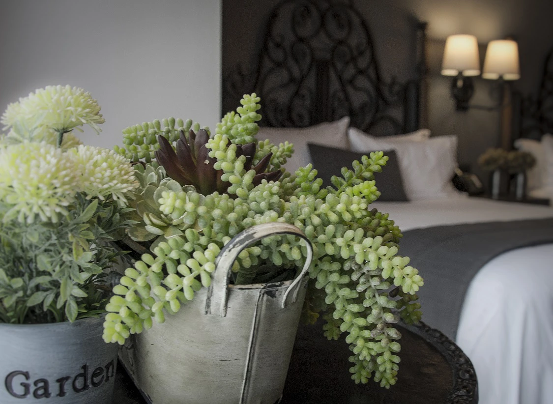 Habitacion Zocalo Central 5